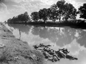 View of the corpses of Muslims slaughtered and left in a river as they were migrating from India to Pakistan due to ongoing religious conflicts between Sikhs and Muslims, Pakistan, October 3, 1947.